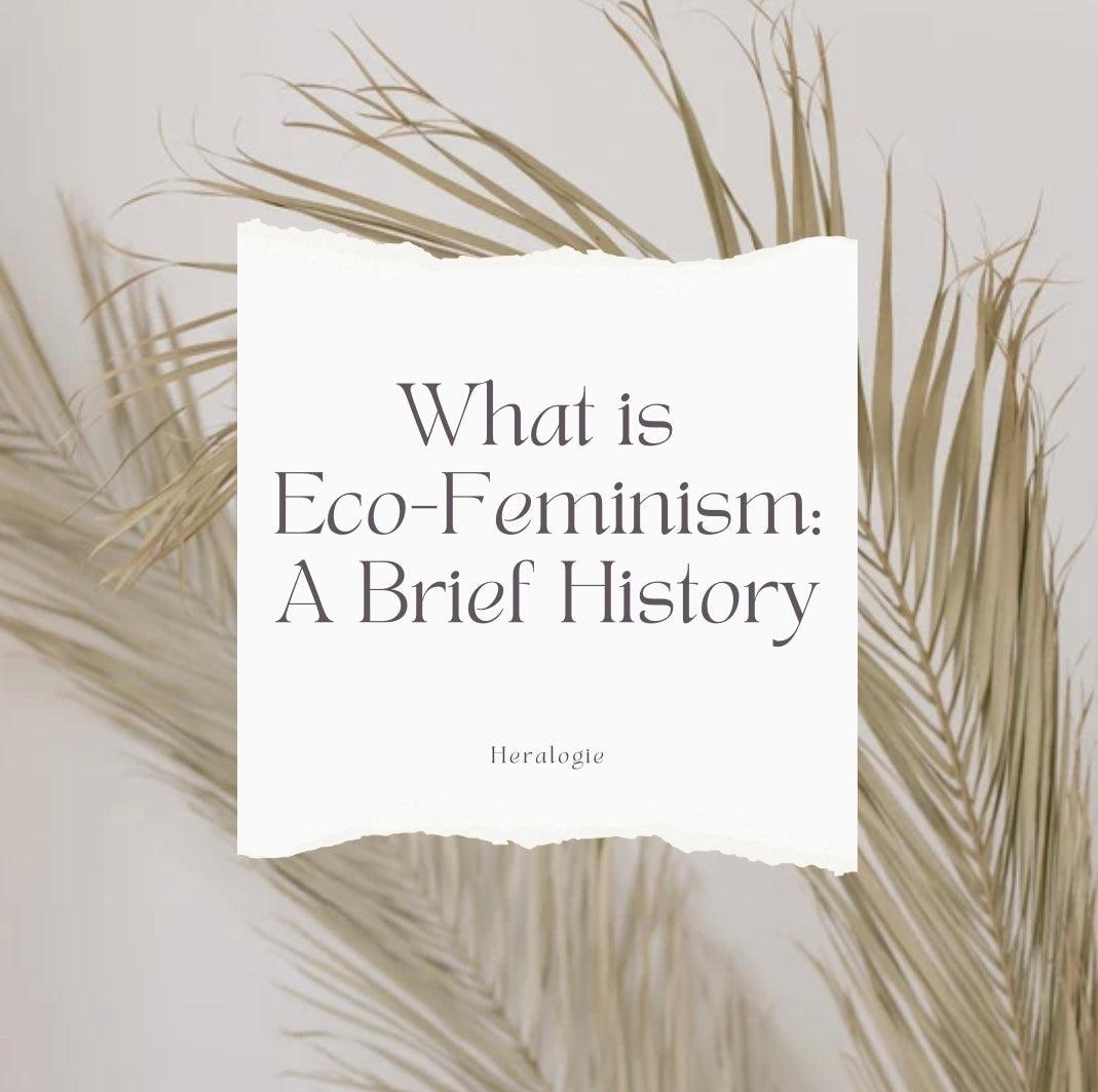 Text graphic reading 'What is Eco-Feminism: A Brief History' with beige dried leaves background