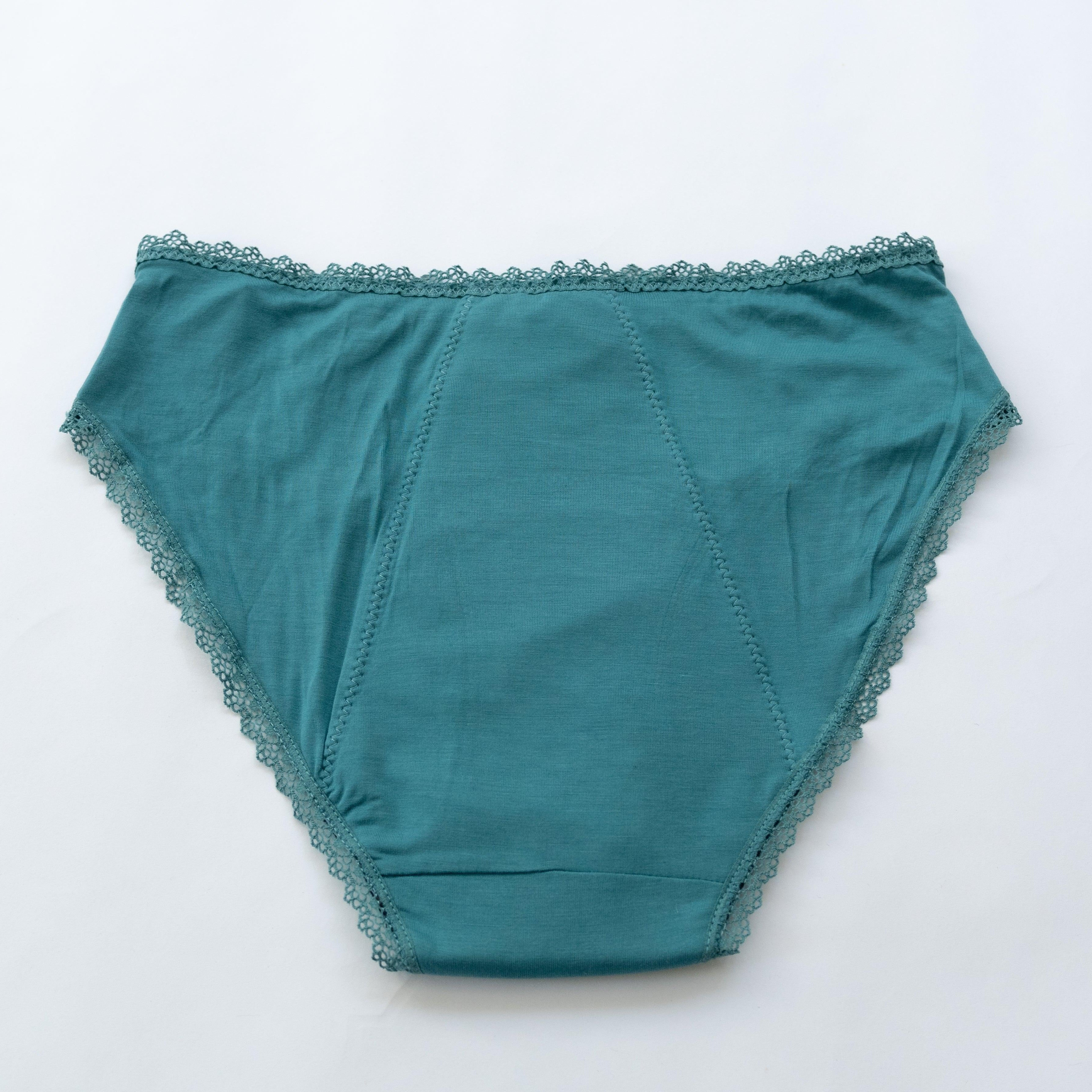 Aura Bikini Cut Period Underwear - Heralogie