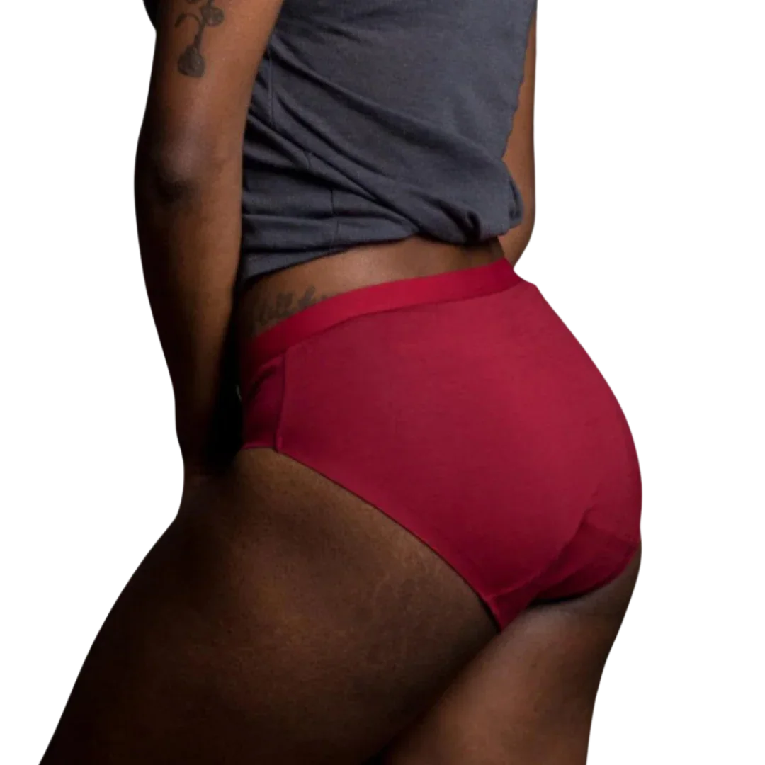 Light Absorbency Bikini Cut Period Underwear - Themis